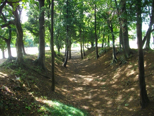 逆井城西二の丸空堀 (3) (500x375).jpg
