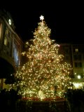 ２０１２年１２月１９日 Sea インパ４.jpg