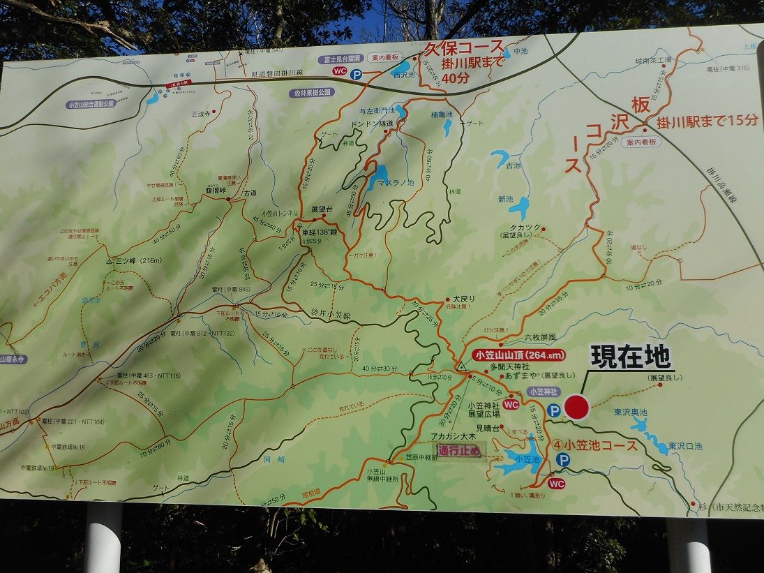 小笠山 264 8m 何処でもバッタリ こんにちは 古ギャルの山登りとガーデニングで楽しく 楽天ブログ