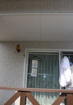 20121014_5_R.JPG