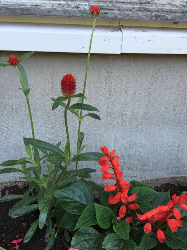 rblog-20150711112744-02.jpg