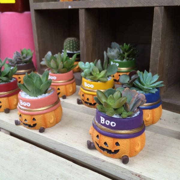 rblog-20150922152112-04.jpg