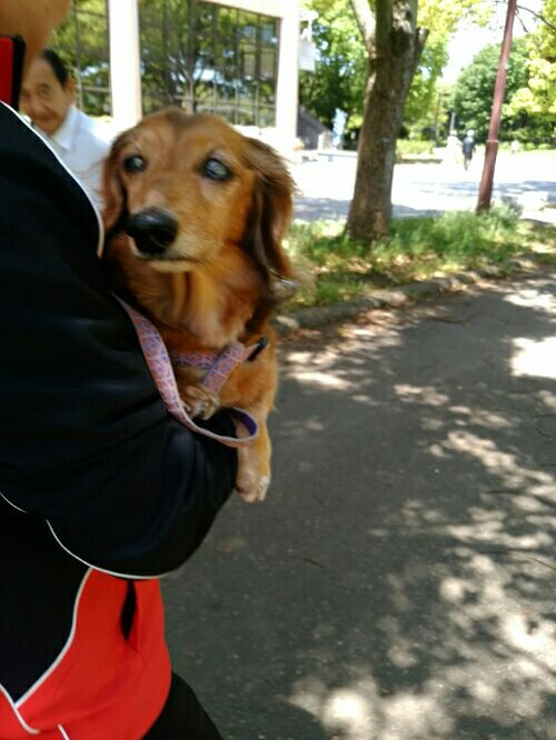rblog-20160510080345-03.jpg
