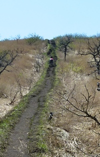 P1200204.JPG