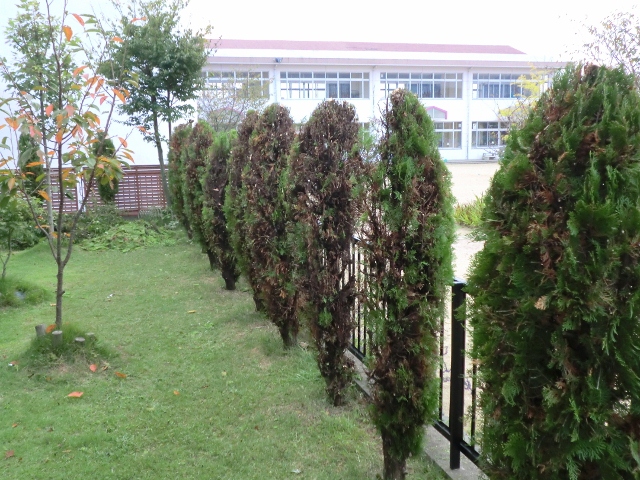 002 (640x480).jpg