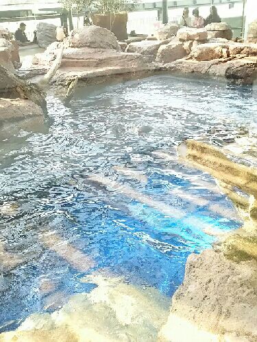 rblog-20160305231636-02.jpg