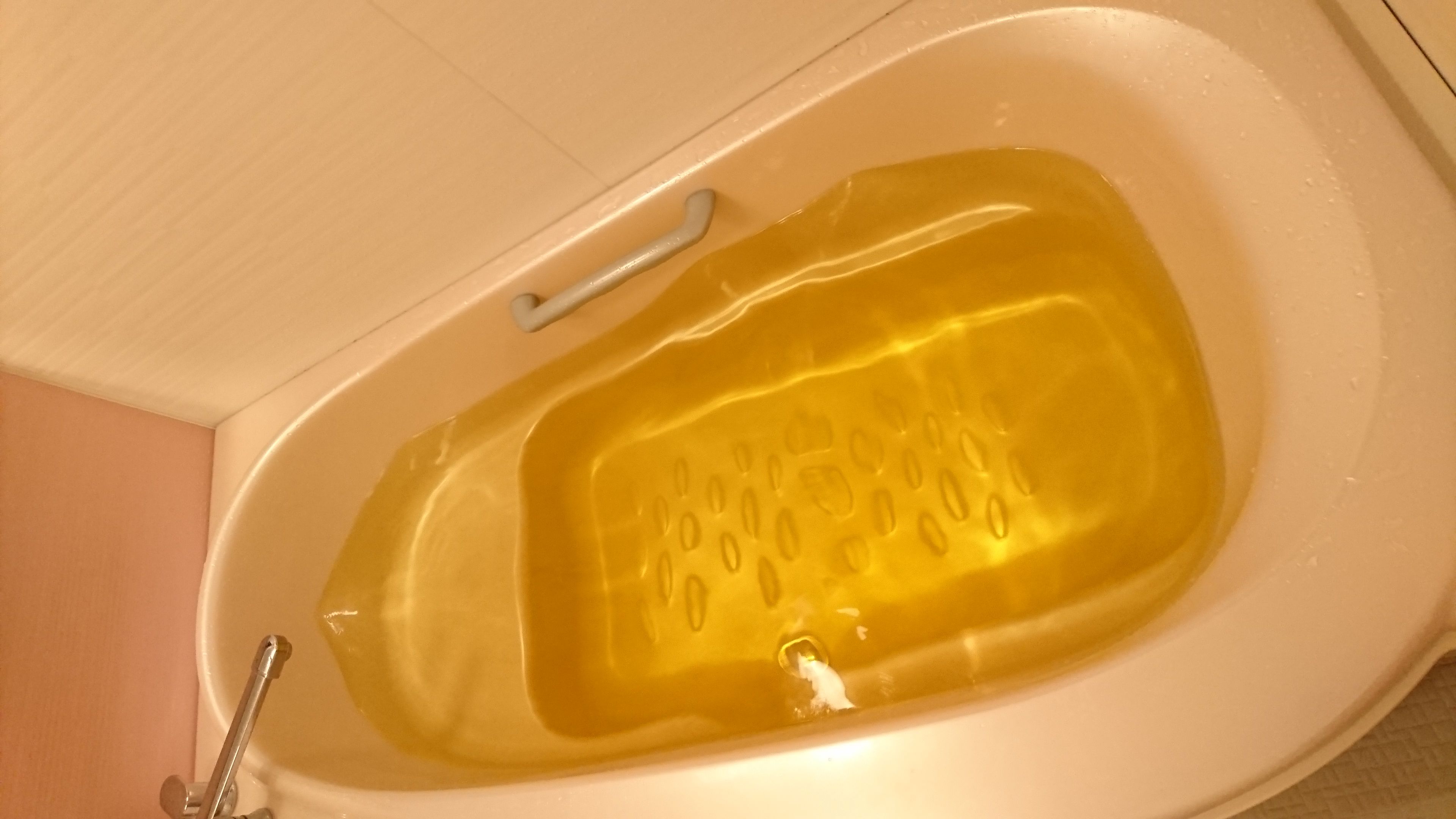 風呂は命の洗濯よ ブルートニーのブログ部屋 楽天ブログ