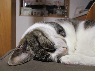 IMG_9000ss.jpg