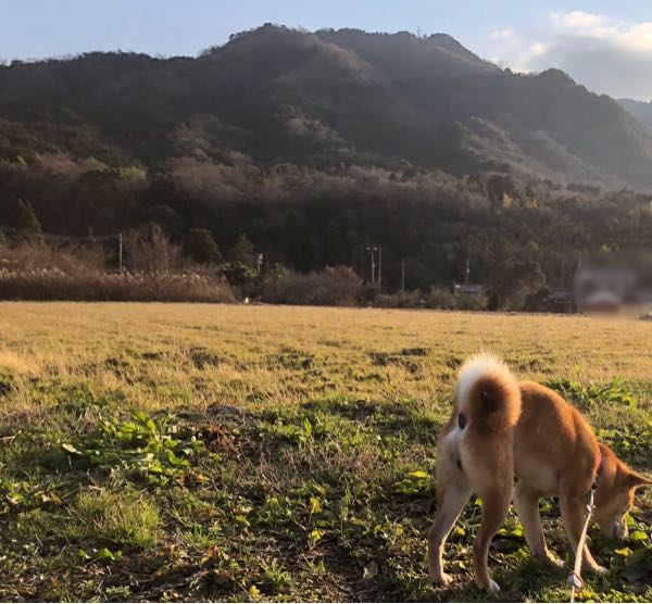 rblog-20190104163743-11.jpg