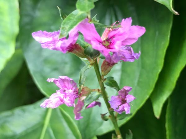 rblog-20180628172024-05.jpg