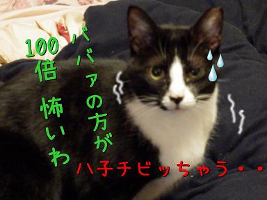 八子チビル.JPG
