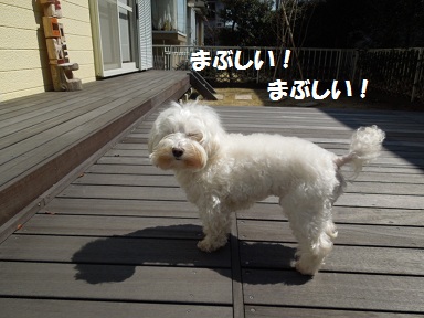 hatchan