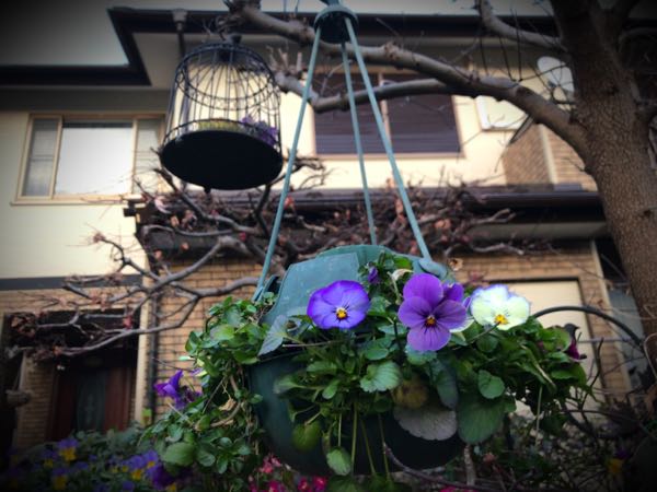 rblog-20161226173011-00.jpg