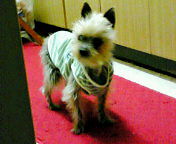2012-05-19 22:57:46