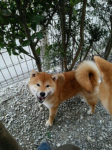 rblog-20160503021502-02.jpg