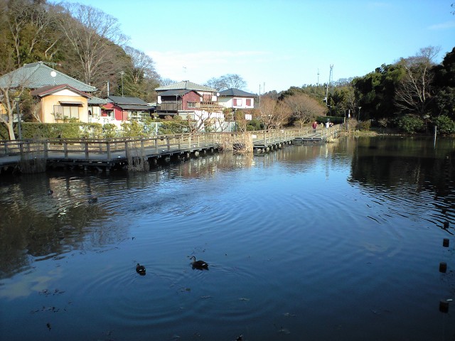 花島公園