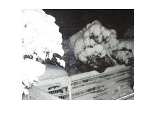 1.15 雪.jpg