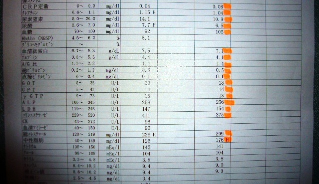 P1130901.JPG