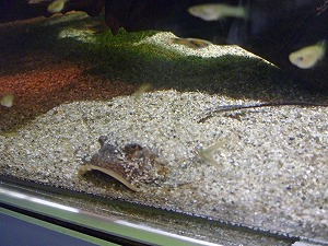 20141129(11).jpg