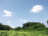 馬入の空.jpg