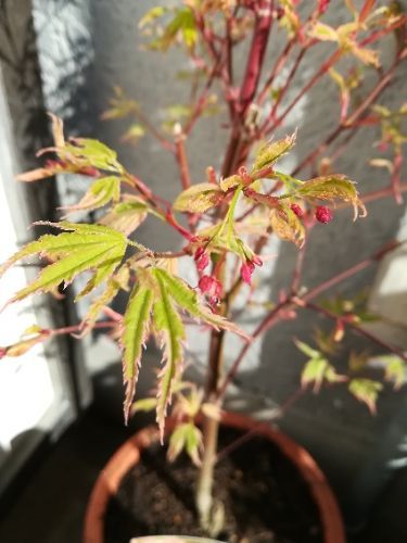 rblog-20180330095200-04.jpg