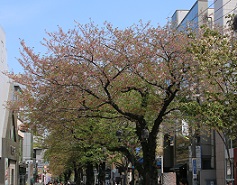 IMG_3828-12.jpg
