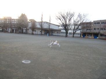 IMG_8088.JPG