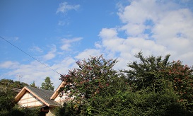 IMG_4463-16.jpg