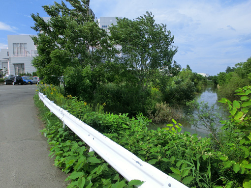 20120828篠路川とガトキン