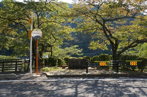 DSC07066.JPG