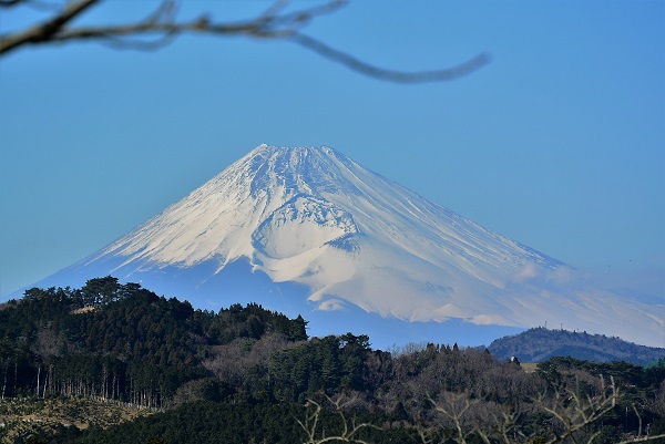 富士山