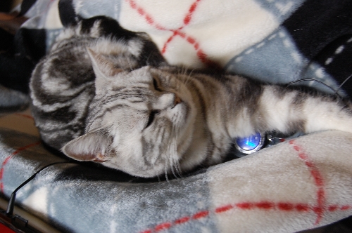 DSC_0009.JPG