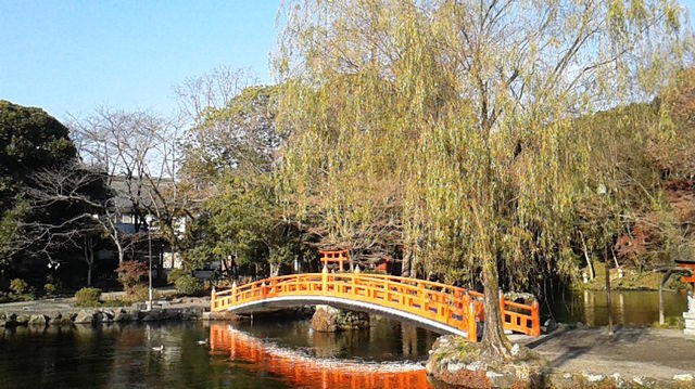 16452683_2037277651_31large.jpg