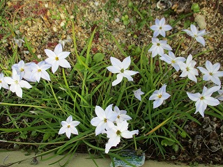 IMG_8632ss.jpg