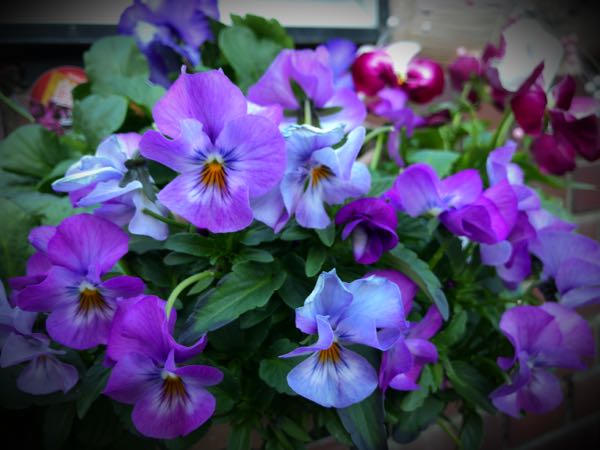 rblog-20161231164110-01.jpg