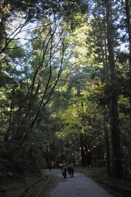 春日山_4-3.jpg