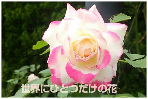 rblog-20160815015228-00.jpg