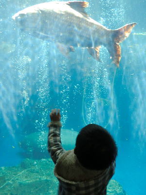 けいごん　in伊勢・鳥羽2