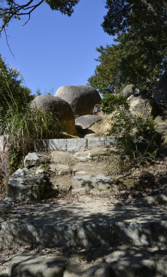 甲山9