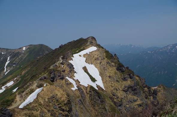 IMGP1206オキノ耳.JPG