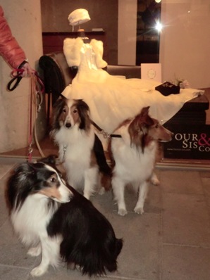 ウェディングサロン前