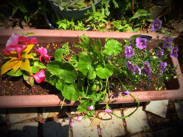 rblog-20150531144450-01.jpg