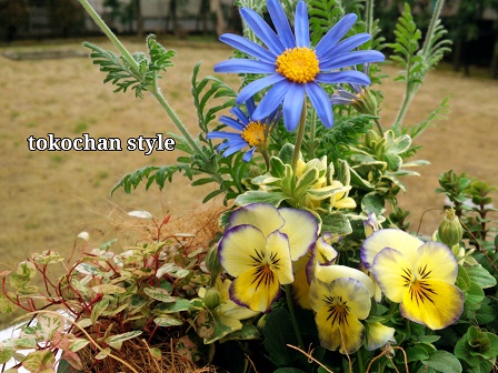 2015-02-27-14-31-53_deco.jpg