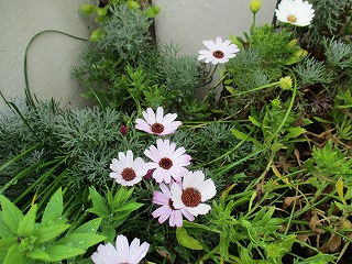 IMG_8983ss.jpg