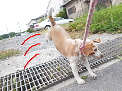 conv0002.JPG
