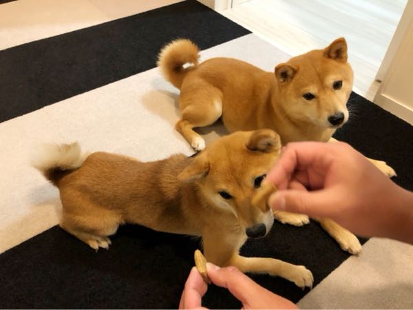 rblog-20180119062553-09.jpg
