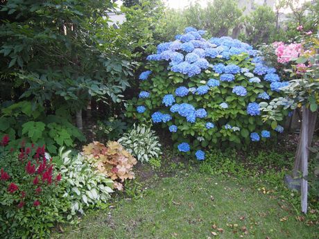 20140626-1