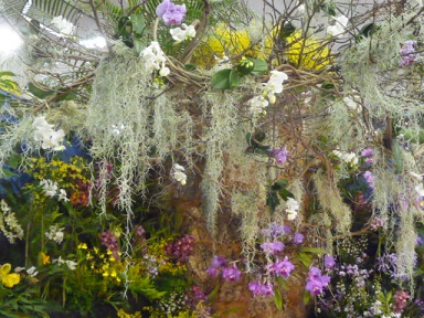 6 ラン展で