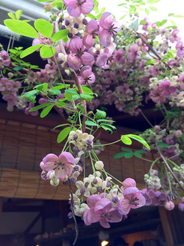 rblog-20150404223924-03.jpg