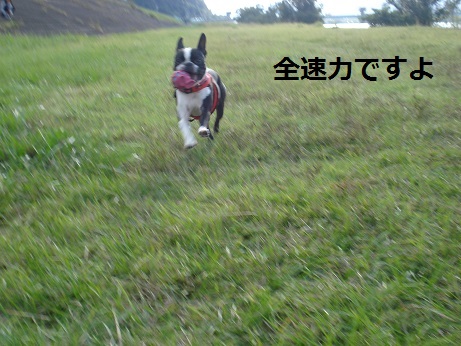 DSC05114.jpg